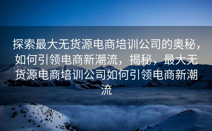探索最大无货源电商培训公司的奥秘，如何引领电商新潮流，揭秘，最大无货源电商培训公司如何引领电商新潮流