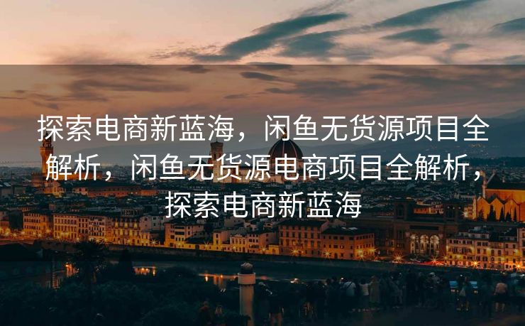 探索电商新蓝海，闲鱼无货源项目全解析，闲鱼无货源电商项目全解析，探索电商新蓝海