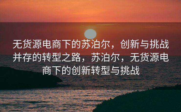 无货源电商下的苏泊尔，创新与挑战并存的转型之路，苏泊尔，无货源电商下的创新转型与挑战