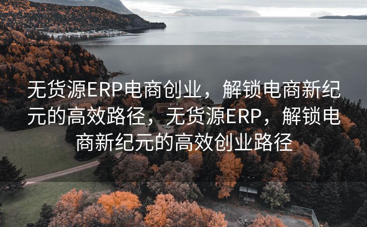无货源ERP电商创业，解锁电商新纪元的高效路径，无货源ERP，解锁电商新纪元的高效创业路径