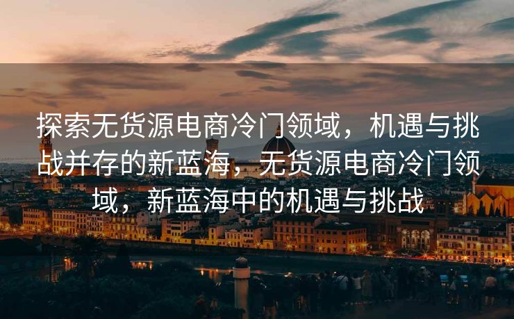 探索无货源电商冷门领域，机遇与挑战并存的新蓝海，无货源电商冷门领域，新蓝海中的机遇与挑战