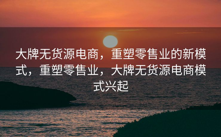 大牌无货源电商，重塑零售业的新模式，重塑零售业，大牌无货源电商模式兴起