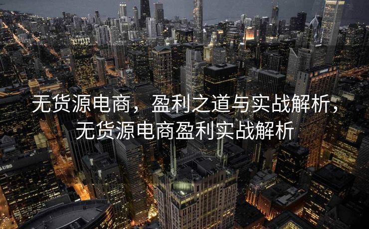 无货源电商，盈利之道与实战解析，无货源电商盈利实战解析