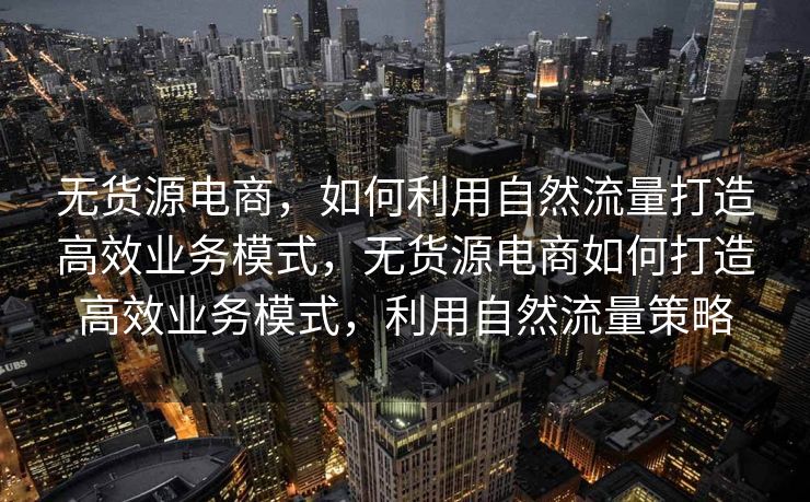 无货源电商，如何利用自然流量打造高效业务模式，无货源电商如何打造高效业务模式，利用自然流量策略