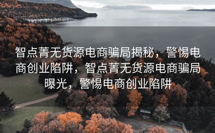 智点菁无货源电商骗局揭秘，警惕电商创业陷阱，智点菁无货源电商骗局曝光，警惕电商创业陷阱