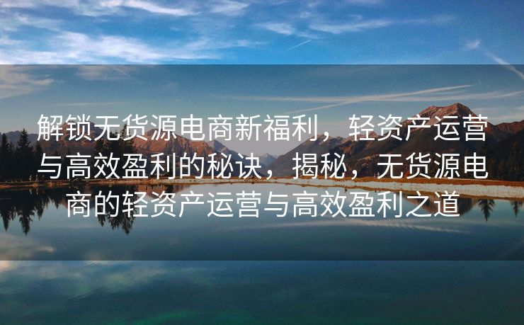 解锁无货源电商新福利，轻资产运营与高效盈利的秘诀，揭秘，无货源电商的轻资产运营与高效盈利之道