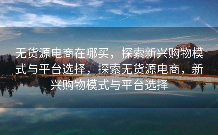 无货源电商在哪买，探索新兴购物模式与平台选择，探索无货源电商，新兴购物模式与平台选择