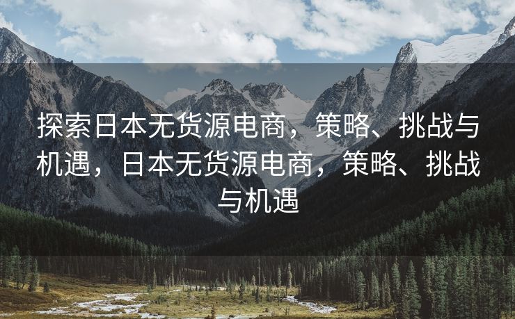 探索日本无货源电商，策略、挑战与机遇，日本无货源电商，策略、挑战与机遇