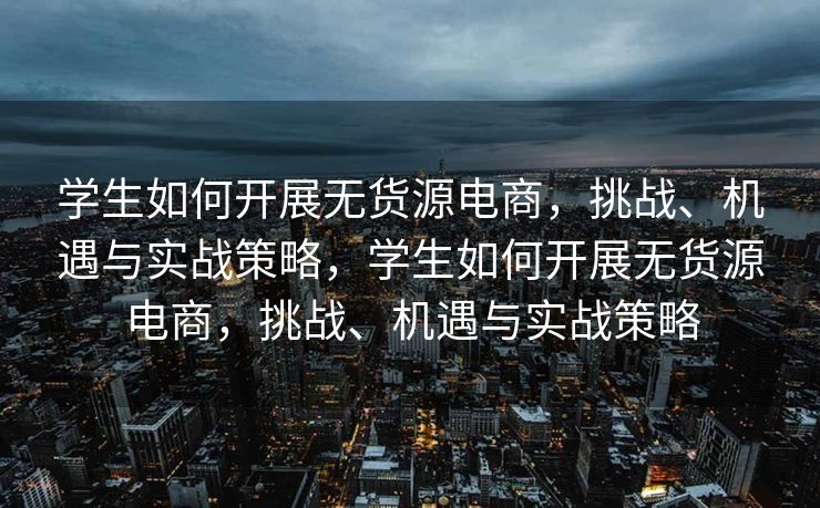 学生如何开展无货源电商，挑战、机遇与实战策略，学生如何开展无货源电商，挑战、机遇与实战策略