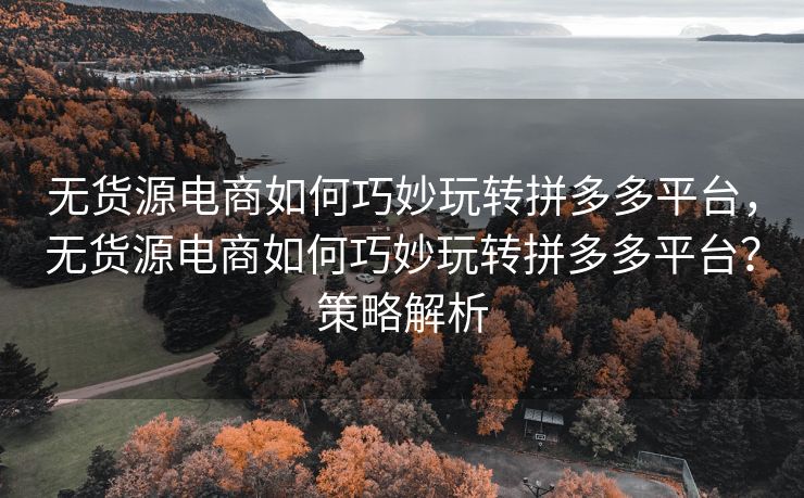 无货源电商如何巧妙玩转拼多多平台，无货源电商如何巧妙玩转拼多多平台？策略解析