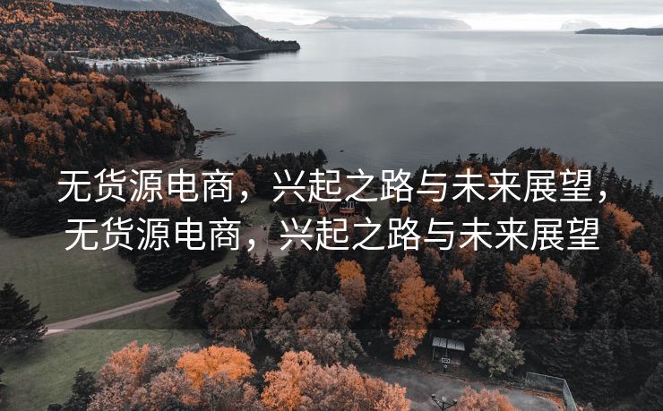 无货源电商，兴起之路与未来展望，无货源电商，兴起之路与未来展望