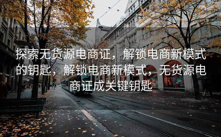 探索无货源电商证，解锁电商新模式的钥匙，解锁电商新模式，无货源电商证成关键钥匙