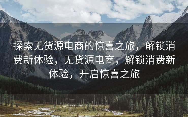 探索无货源电商的惊喜之旅，解锁消费新体验，无货源电商，解锁消费新体验，开启惊喜之旅