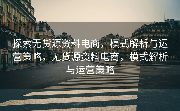 探索无货源资料电商，模式解析与运营策略，无货源资料电商，模式解析与运营策略
