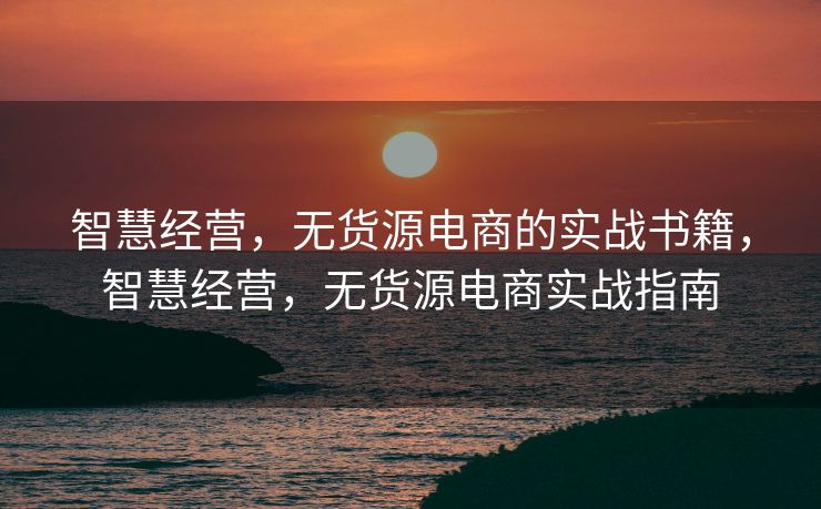 智慧经营，无货源电商的实战书籍，智慧经营，无货源电商实战指南