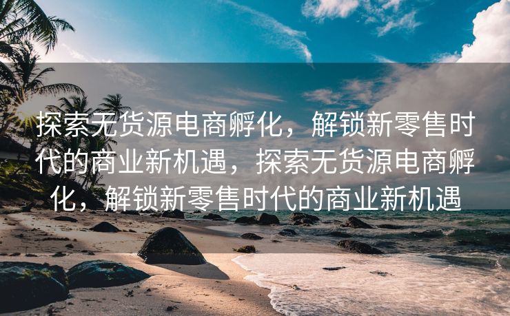 探索无货源电商孵化，解锁新零售时代的商业新机遇，探索无货源电商孵化，解锁新零售时代的商业新机遇