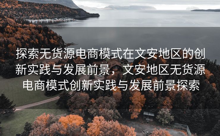 探索无货源电商模式在文安地区的创新实践与发展前景，文安地区无货源电商模式创新实践与发展前景探索