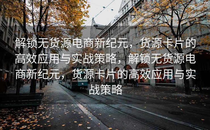 解锁无货源电商新纪元，货源卡片的高效应用与实战策略，解锁无货源电商新纪元，货源卡片的高效应用与实战策略