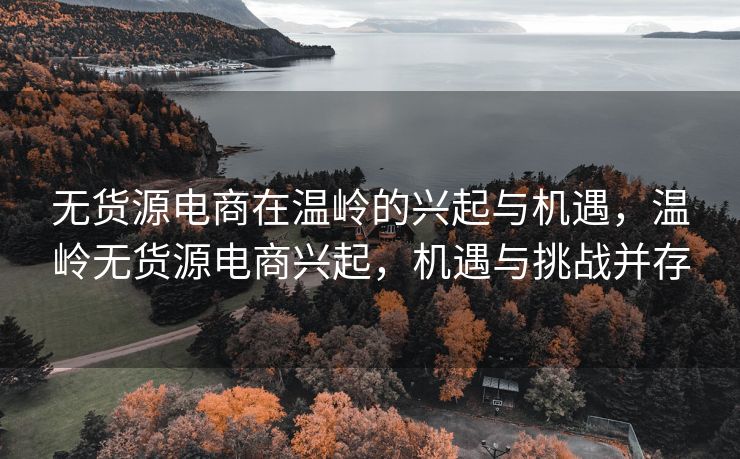 无货源电商在温岭的兴起与机遇，温岭无货源电商兴起，机遇与挑战并存