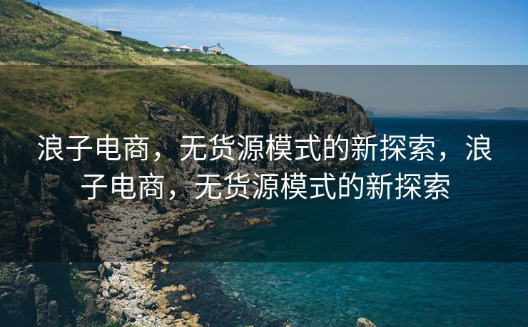 浪子电商，无货源模式的新探索，浪子电商，无货源模式的新探索