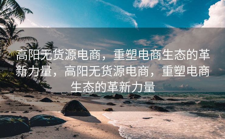 高阳无货源电商，重塑电商生态的革新力量，高阳无货源电商，重塑电商生态的革新力量