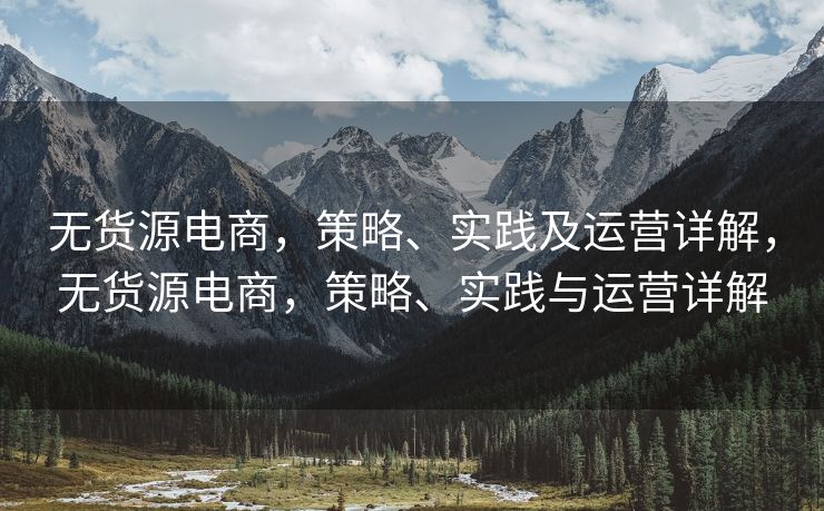 无货源电商，策略、实践及运营详解，无货源电商，策略、实践与运营详解