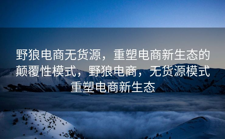 野狼电商无货源，重塑电商新生态的颠覆性模式，野狼电商，无货源模式重塑电商新生态