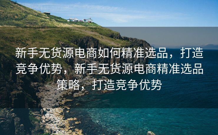 新手无货源电商如何精准选品，打造竞争优势，新手无货源电商精准选品策略，打造竞争优势