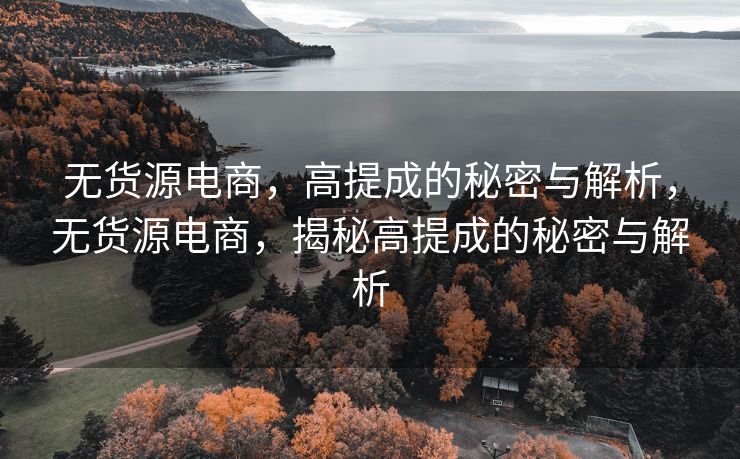 无货源电商，高提成的秘密与解析，无货源电商，揭秘高提成的秘密与解析