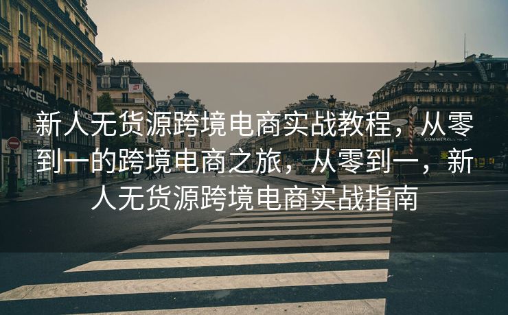 新人无货源跨境电商实战教程，从零到一的跨境电商之旅，从零到一，新人无货源跨境电商实战指南