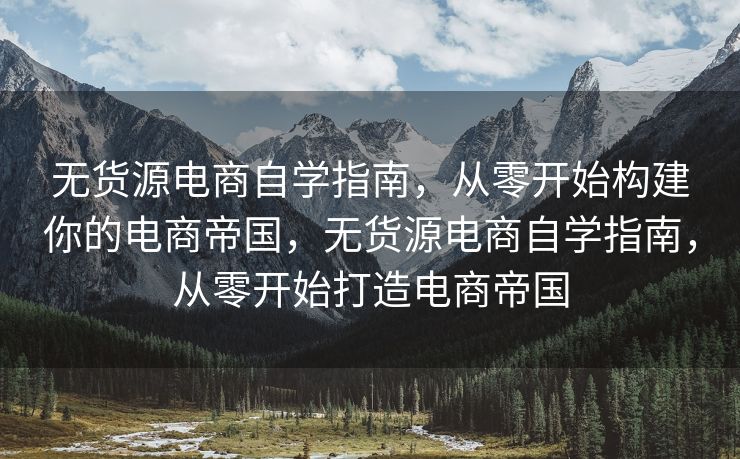 无货源电商自学指南，从零开始构建你的电商帝国，无货源电商自学指南，从零开始打造电商帝国
