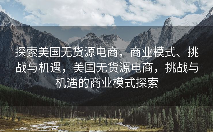 探索美国无货源电商，商业模式、挑战与机遇，美国无货源电商，挑战与机遇的商业模式探索