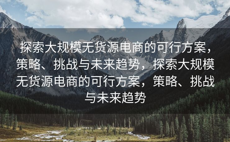 探索大规模无货源电商的可行方案，策略、挑战与未来趋势，探索大规模无货源电商的可行方案，策略、挑战与未来趋势