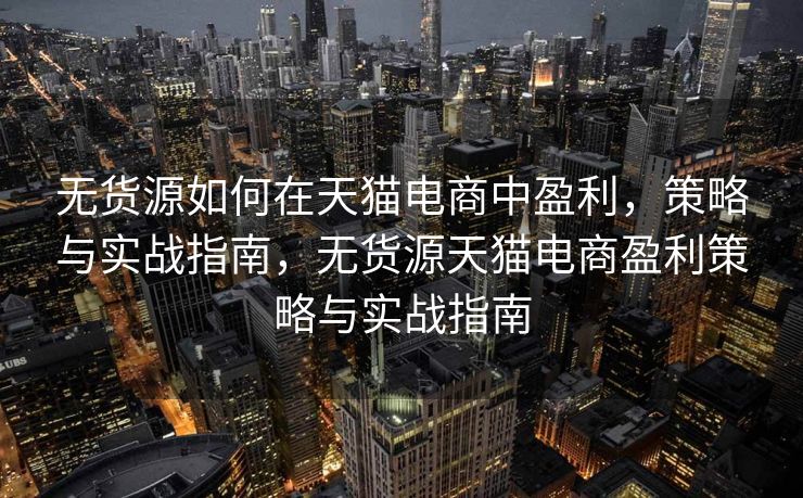 无货源如何在天猫电商中盈利，策略与实战指南，无货源天猫电商盈利策略与实战指南