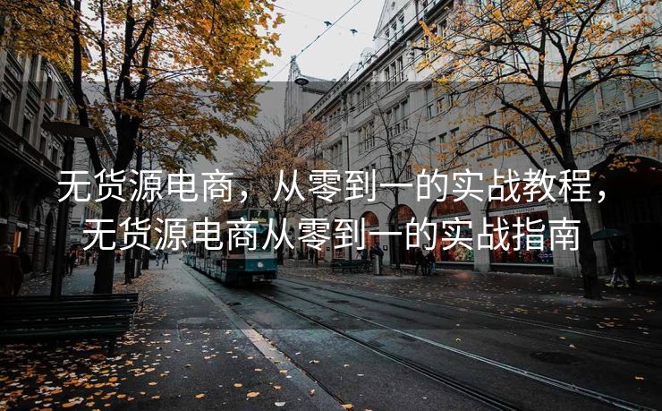 无货源电商，从零到一的实战教程，无货源电商从零到一的实战指南