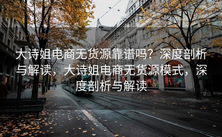 大诗姐电商无货源靠谱吗？深度剖析与解读，大诗姐电商无货源模式，深度剖析与解读