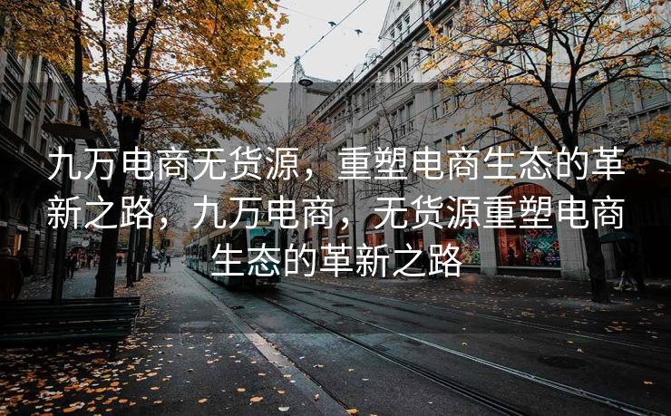 九万电商无货源，重塑电商生态的革新之路，九万电商，无货源重塑电商生态的革新之路