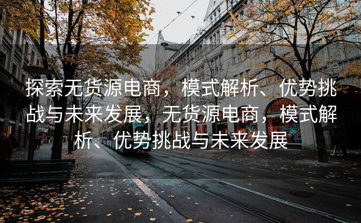 探索无货源电商，模式解析、优势挑战与未来发展，无货源电商，模式解析、优势挑战与未来发展