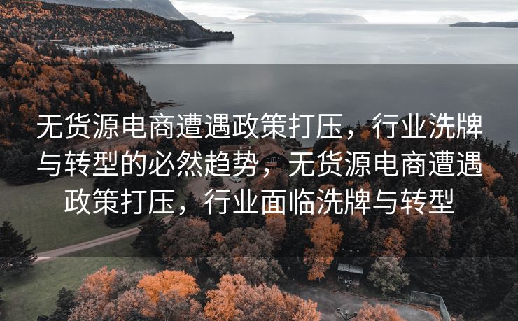无货源电商遭遇政策打压，行业洗牌与转型的必然趋势，无货源电商遭遇政策打压，行业面临洗牌与转型