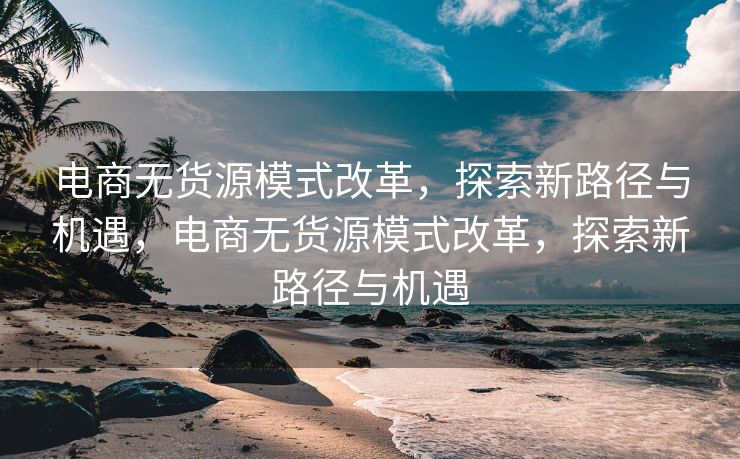 电商无货源模式改革，探索新路径与机遇，电商无货源模式改革，探索新路径与机遇