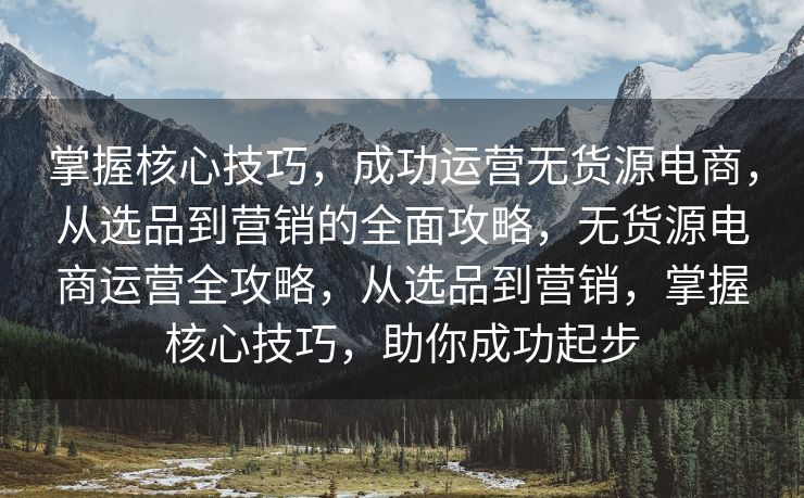 掌握核心技巧，成功运营无货源电商，从选品到营销的全面攻略，无货源电商运营全攻略，从选品到营销，掌握核心技巧，助你成功起步