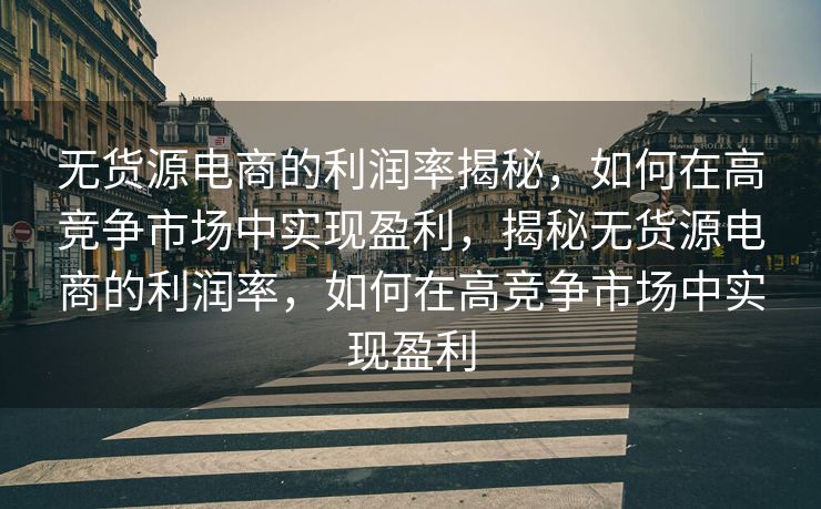 无货源电商的利润率揭秘，如何在高竞争市场中实现盈利，揭秘无货源电商的利润率，如何在高竞争市场中实现盈利