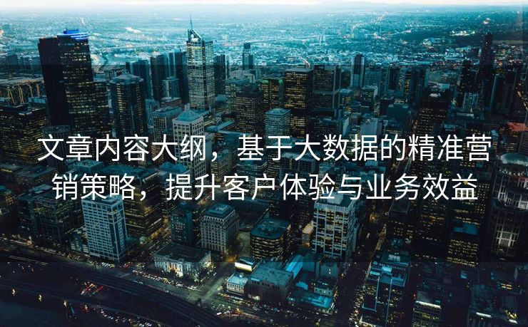 文章内容大纲，基于大数据的精准营销策略，提升客户体验与业务效益