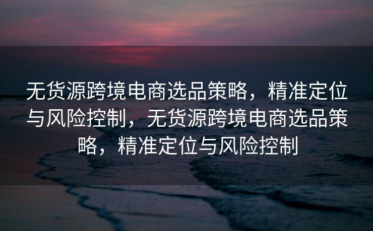 无货源跨境电商选品策略，精准定位与风险控制，无货源跨境电商选品策略，精准定位与风险控制