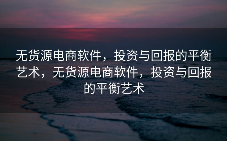 无货源电商软件，投资与回报的平衡艺术，无货源电商软件，投资与回报的平衡艺术