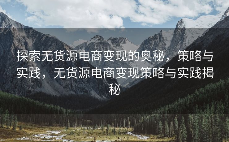 探索无货源电商变现的奥秘，策略与实践，无货源电商变现策略与实践揭秘