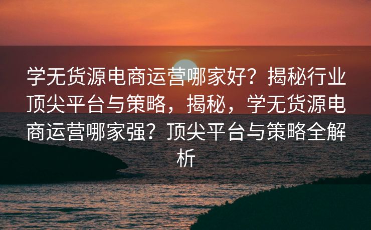 学无货源电商运营哪家好？揭秘行业顶尖平台与策略，揭秘，学无货源电商运营哪家强？顶尖平台与策略全解析
