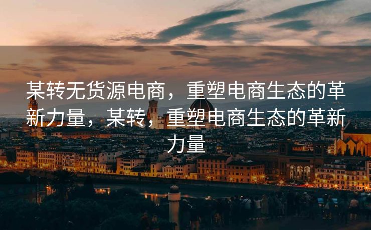 某转无货源电商，重塑电商生态的革新力量，某转，重塑电商生态的革新力量