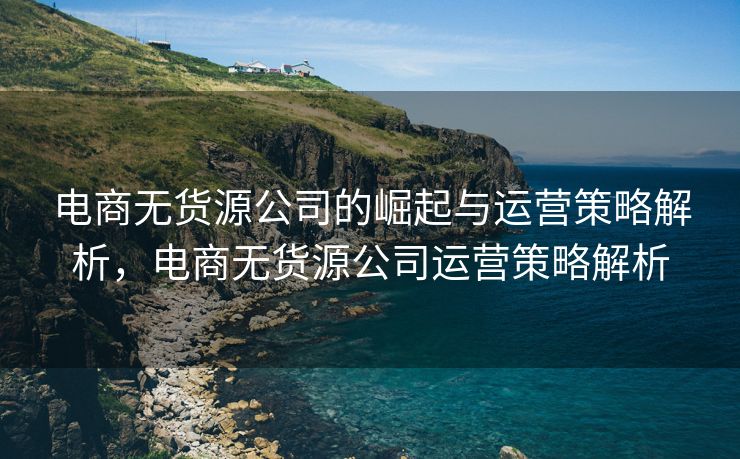 电商无货源公司的崛起与运营策略解析，电商无货源公司运营策略解析