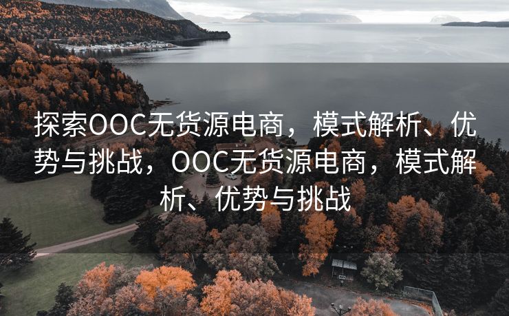 探索OOC无货源电商，模式解析、优势与挑战，OOC无货源电商，模式解析、优势与挑战